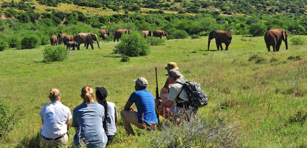 Southern Tanzania Safari Mtallo Tours And Safaris